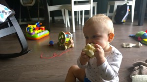 WP_20140911_13_25_36_Pro