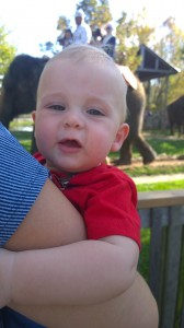 WP_20140928_15_54_30_Pro