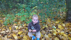 I love playing in the leaves