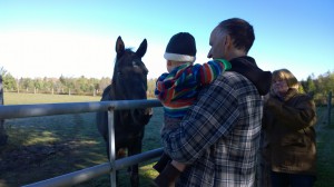 WP_20141012_10_12_28_Pro