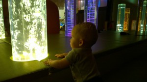 WP_20141015_13_09_04_Pro